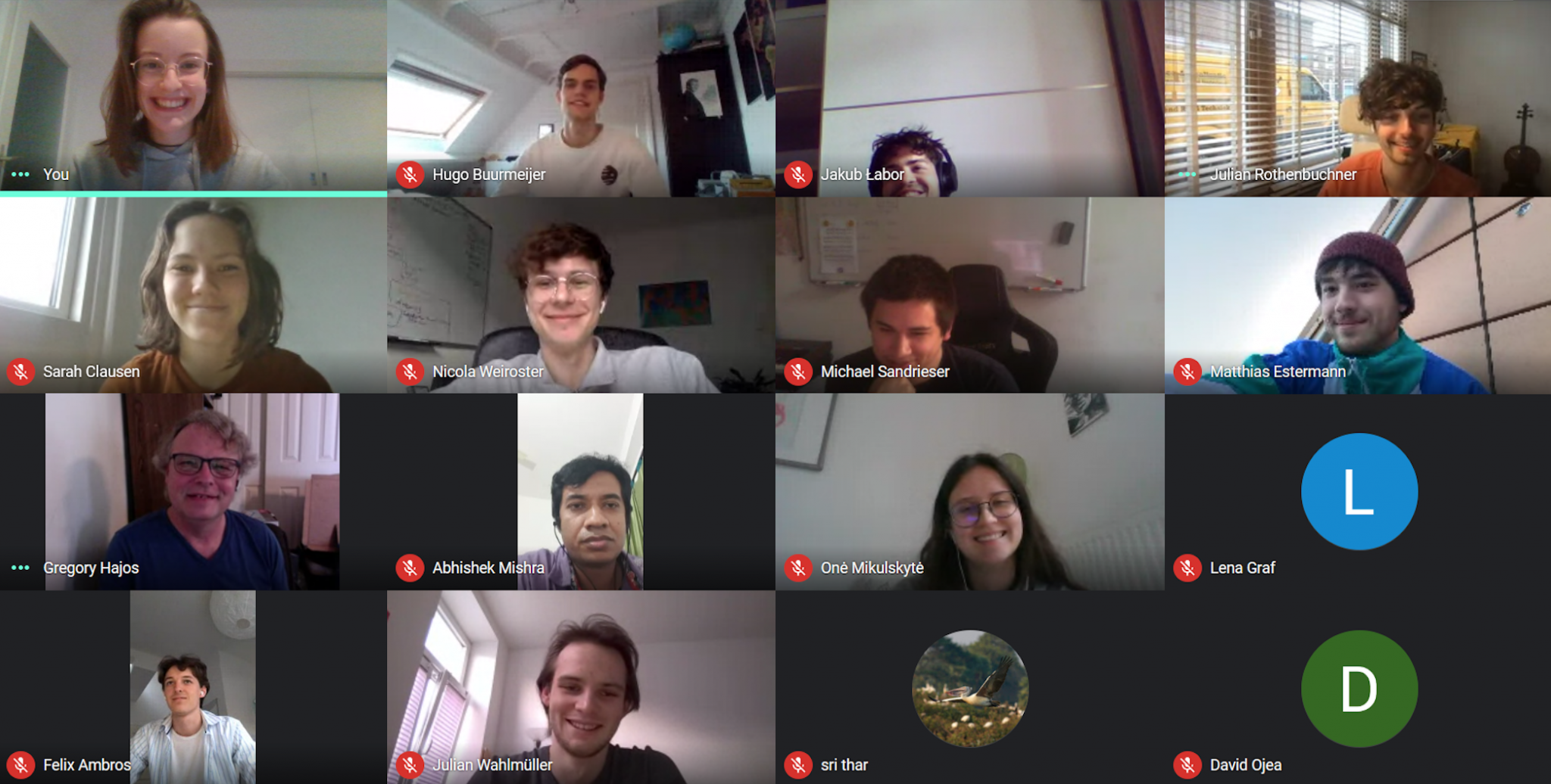 Members of Team Tumbleweed in a video call with Gregory Hajos